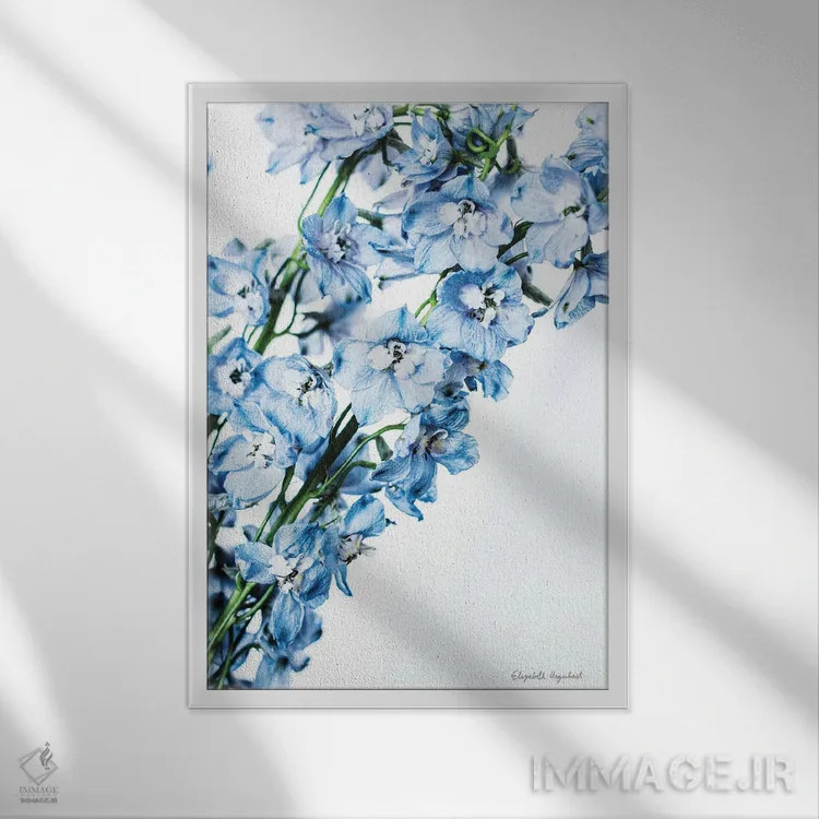 تابلو دکوراتیو دلفینیوم تازه چیده چهارم اثر الیزابت اورکهارت - نمای قابدار سفید