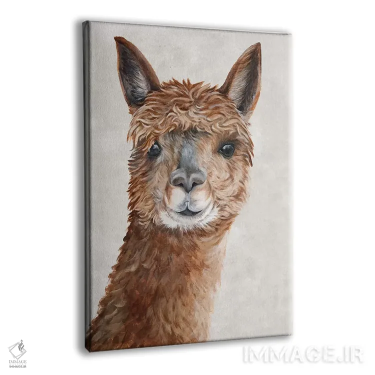 تابلو دکوراتیو آلپاکای سوری II اثر اوا واتس - نمای پرسپکتیو محصول