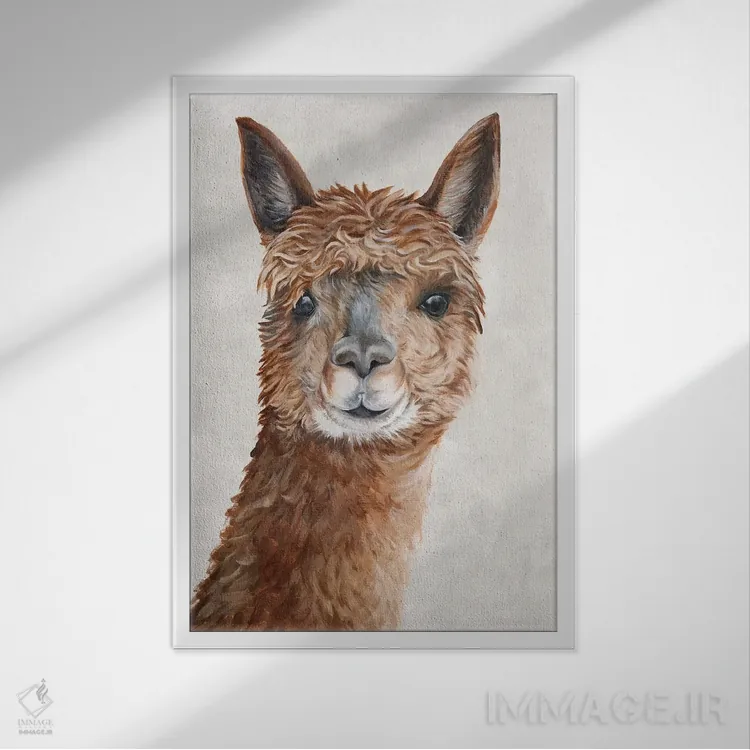تابلو دکوراتیو آلپاکای سوری II اثر اوا واتس - نمای قابدار سفید
