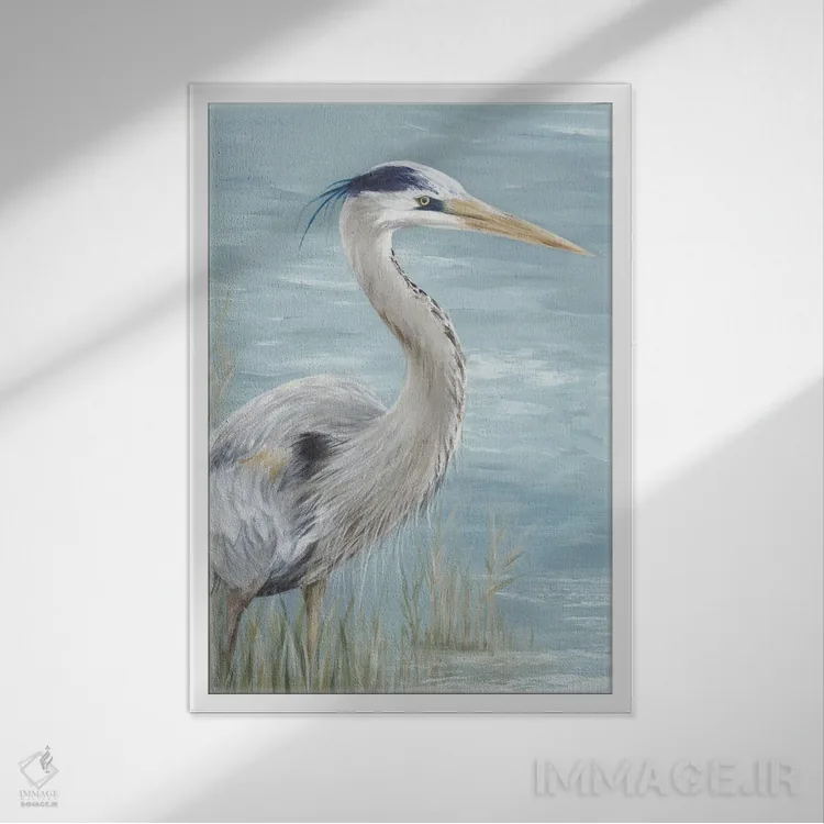 تابلو دکوراتیو نگاه حواصیل آبی بزرگ اثر اوا واتس - نمای قابدار سفید