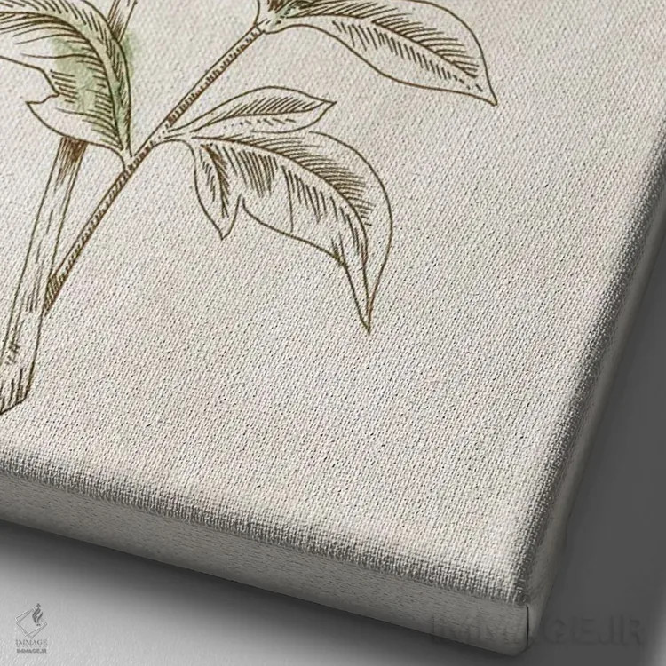 تابلو مینیمال ظرافت ۲ اثر اوا واتس - نمای نزدیک بافت بوم