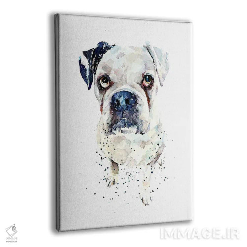 تابلو دکوراتیو باکسر آلمانی سفید II اثر ادز واترکالرز - نمای پرسپکتیو محصول