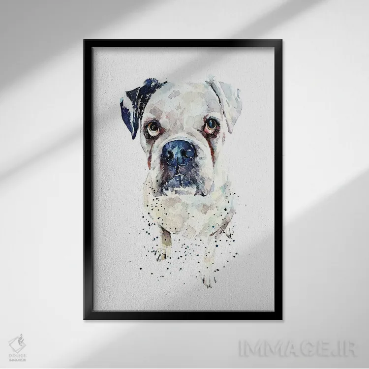 تابلو دکوراتیو باکسر آلمانی سفید II اثر ادز واترکالرز - نمای قابدار مشکی