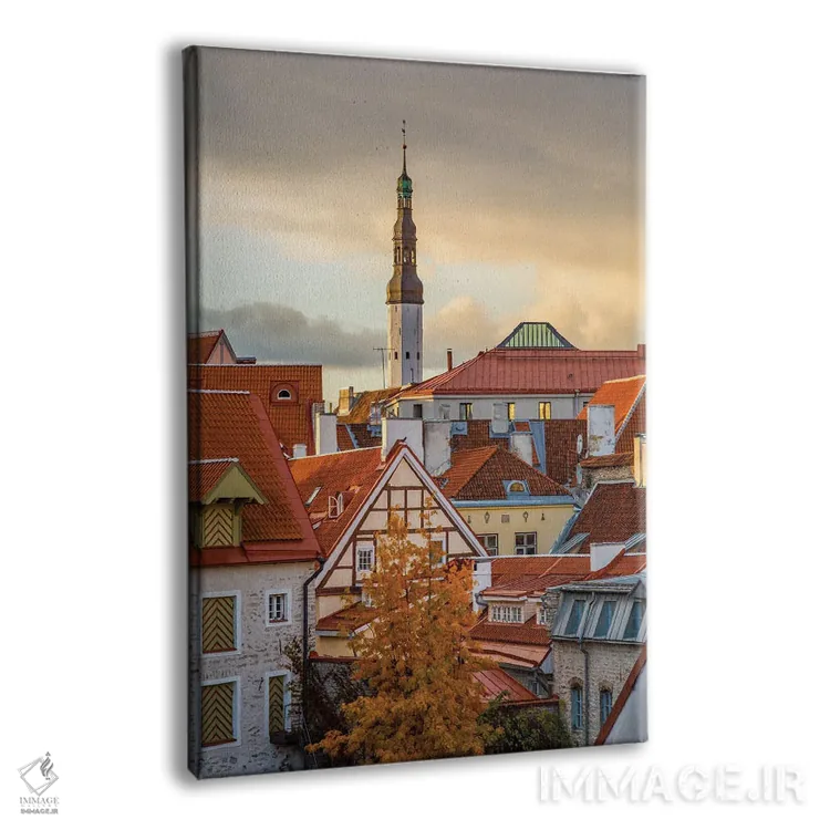 تابلو دکوراتیو کشورهای بالتیک، استونی، تالین. بام های نزدیک دیوارهای شهر اثر امیلی ویلسون - نمای پرسپکتیو محصول