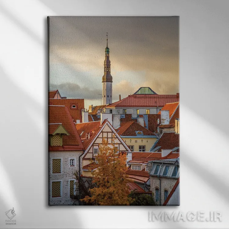 تابلو دکوراتیو کشورهای بالتیک، استونی، تالین. بام های نزدیک دیوارهای شهر اثر امیلی ویلسون - نمای روبهرو روی دیوار