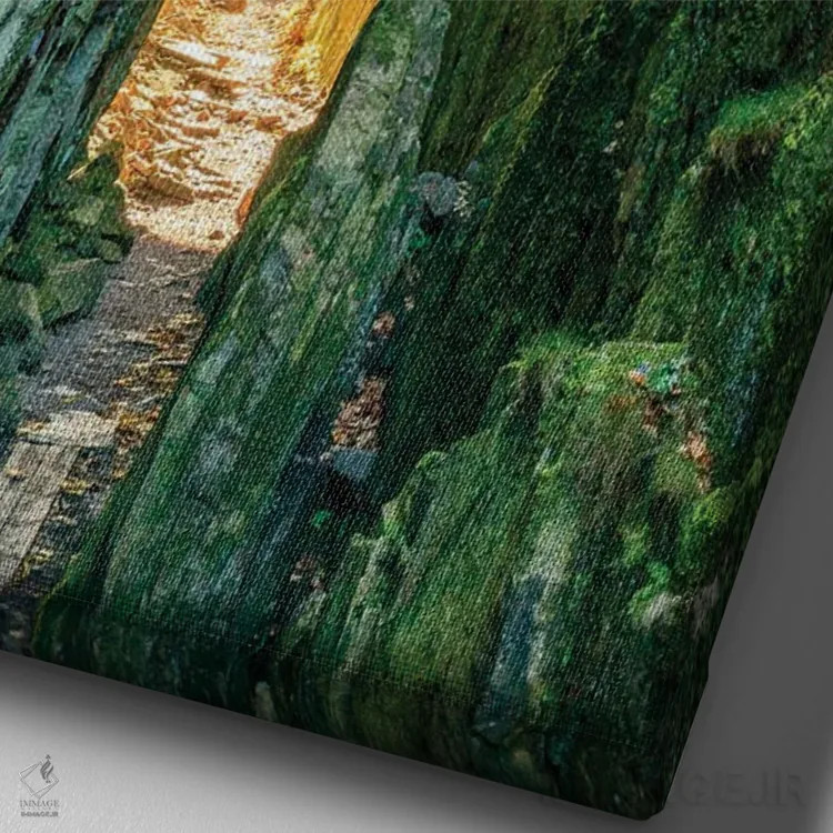 تابلو دکوراتیو سوئد، استان بوهوسلان. مسیری میان صخره های گوه ای نزدیک اود… اثر امیلی ویلسون - نمای نزدیک بافت بوم