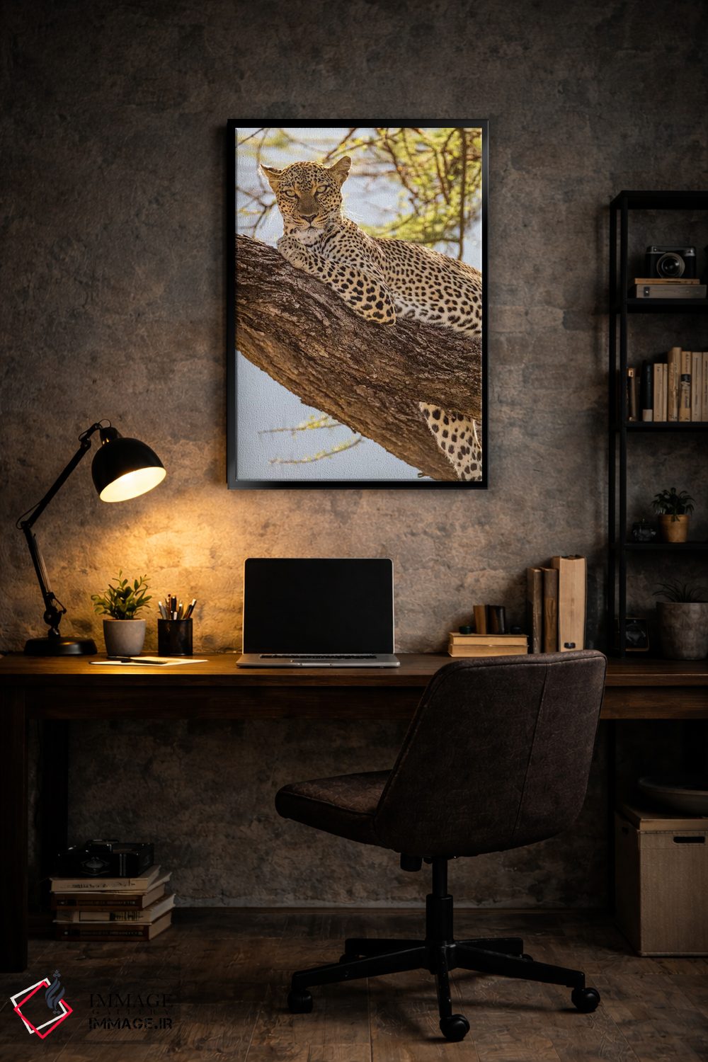 تابلو دکوراتیو آفریقا، کنیا، ذخیره گاه ملی سامبورو. پلنگ آفریقایی روی درخ… اثر امیلی ویلسون - D6B