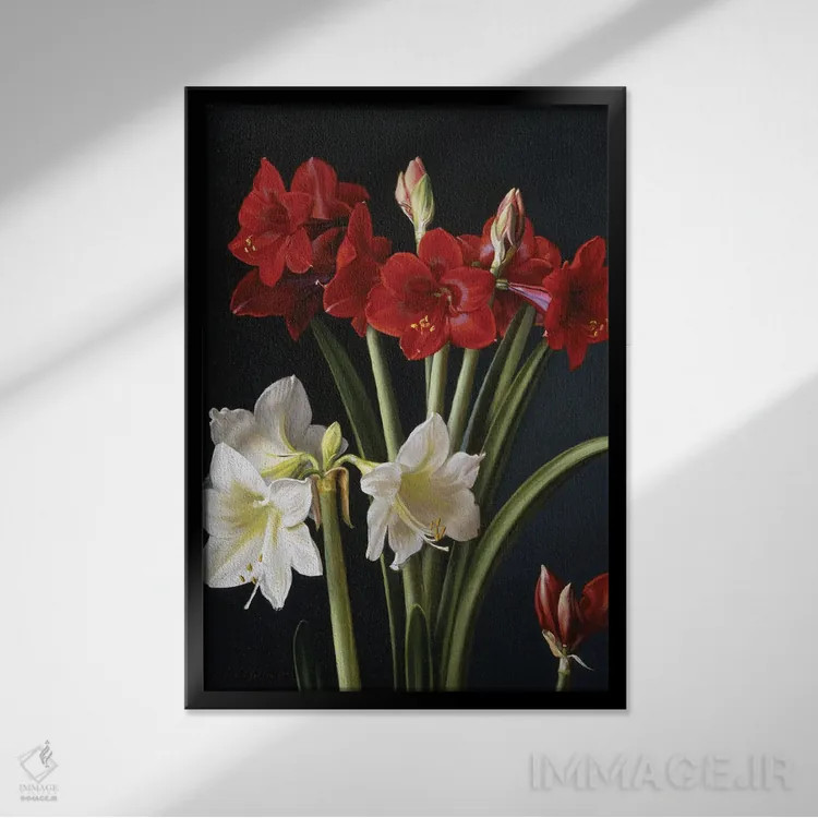 تابلو دکوراتیو آماریلیس اثر ایوان ویلسون - نمای قابدار مشکی