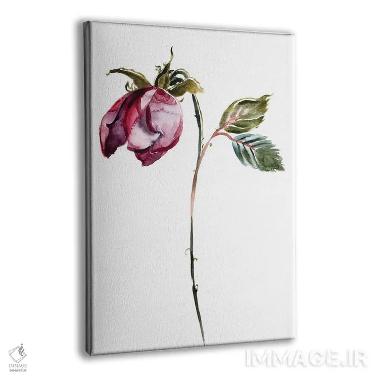 تابلو مینیمال مطالعه رز شماره ۵۰ اثر الیزابت بکر - نمای پرسپکتیو محصول