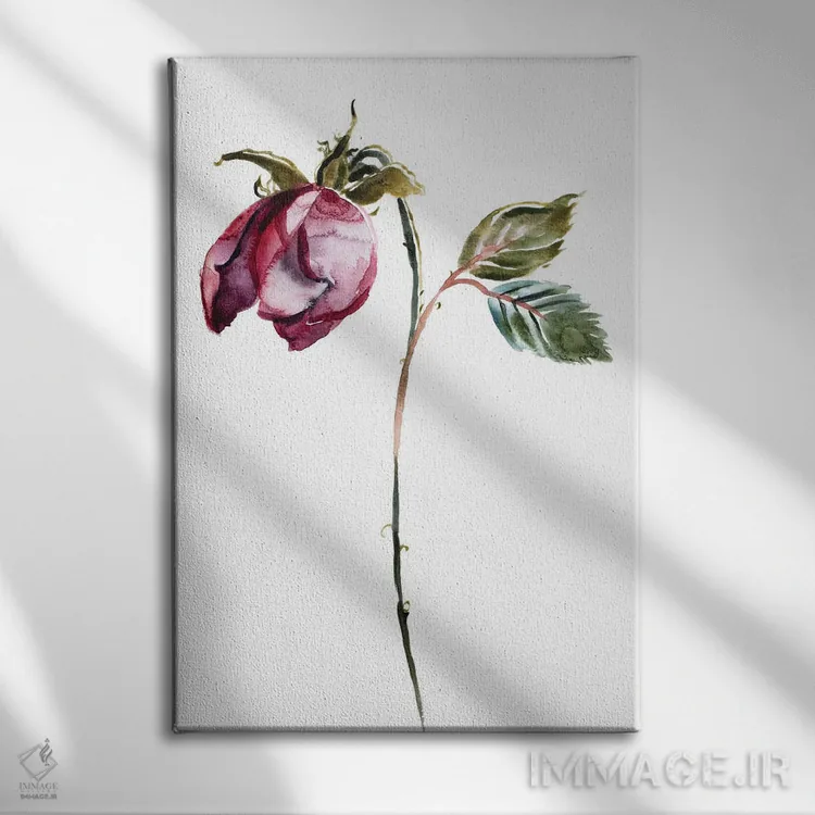 تابلو مینیمال مطالعه رز شماره ۵۰ اثر الیزابت بکر - نمای روبهرو روی دیوار