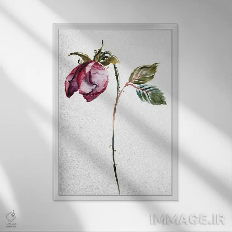 تابلو مینیمال مطالعه رز شماره ۵۰ اثر الیزابت بکر - نمای قابدار سفید