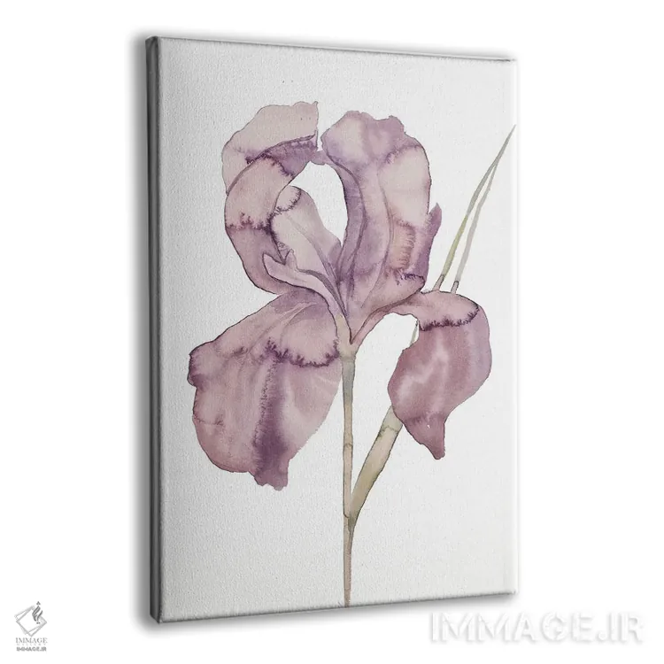 تابلو مینیمال زنبق شماره ۱۷۲ اثر الیزابت بکر - نمای پرسپکتیو محصول