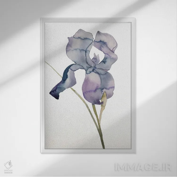 تابلو مینیمال زنبق شماره ۱۷۱ اثر الیزابت بکر - نمای قابدار سفید