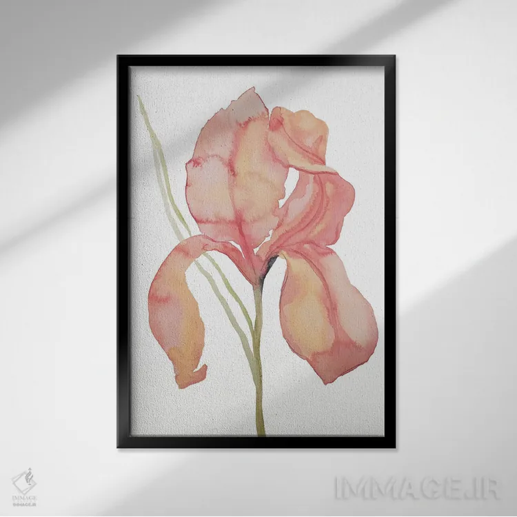 تابلو مینیمال زنبق شماره ۱۷۳ اثر الیزابت بکر - نمای قابدار مشکی