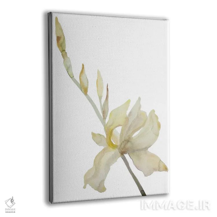 تابلو مینیمال زنبق شماره ۱۸۲ اثر الیزابت بکر - نمای پرسپکتیو محصول