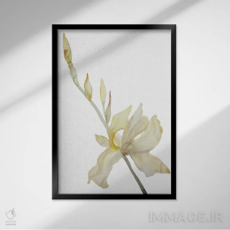 تابلو مینیمال زنبق شماره ۱۸۲ اثر الیزابت بکر - نمای قابدار مشکی