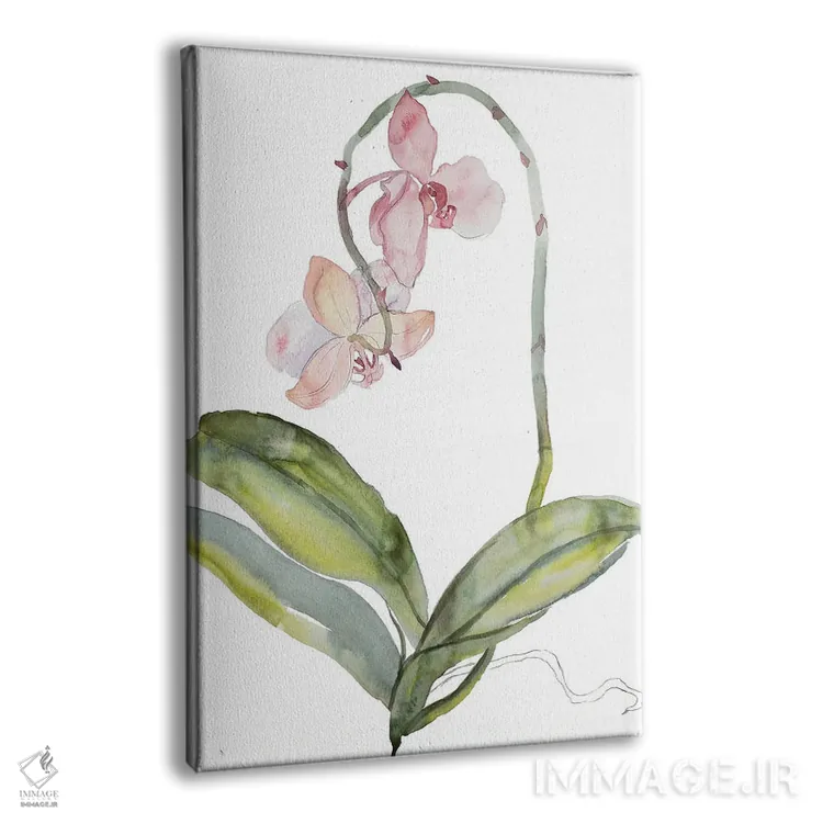 تابلو مینیمال ارکیده شماره ۹ اثر الیزابت بکر - نمای پرسپکتیو محصول