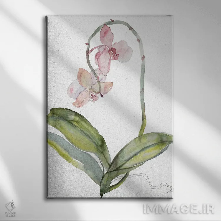 تابلو مینیمال ارکیده شماره ۹ اثر الیزابت بکر - نمای روبهرو روی دیوار