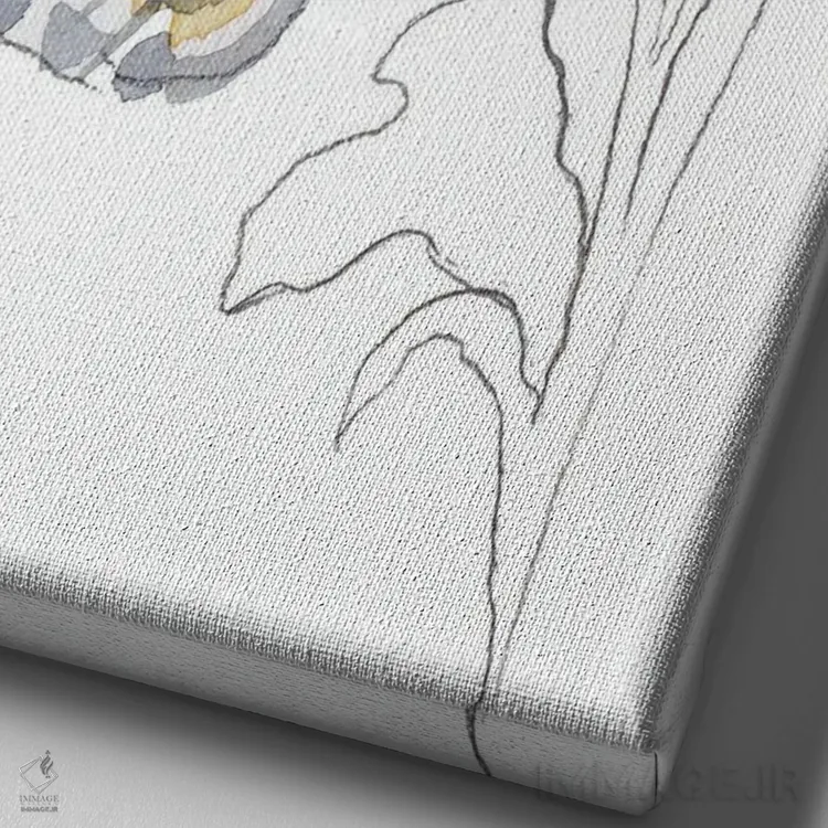 تابلو مینیمال خانم نقاشی شده اثر الیزابت بکر - نمای نزدیک بافت بوم