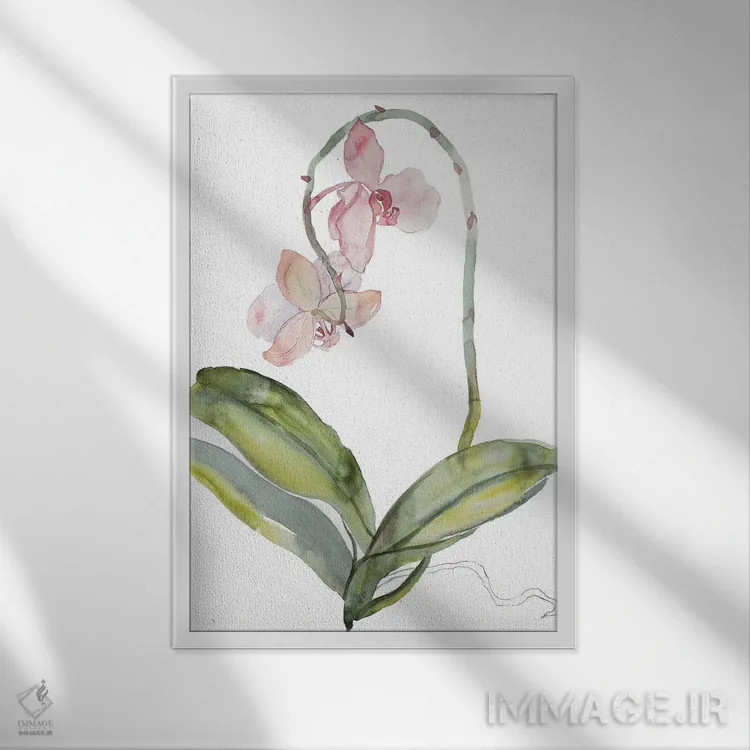 تابلو مینیمال ارکیده شماره ۹ اثر الیزابت بکر - نمای قابدار سفید