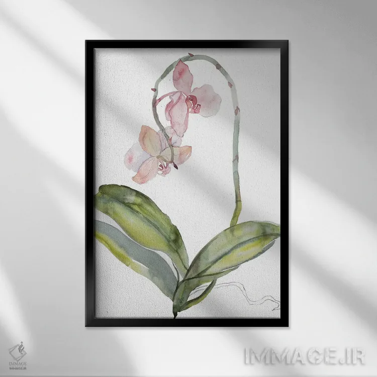تابلو مینیمال ارکیده شماره ۹ اثر الیزابت بکر - نمای قابدار مشکی