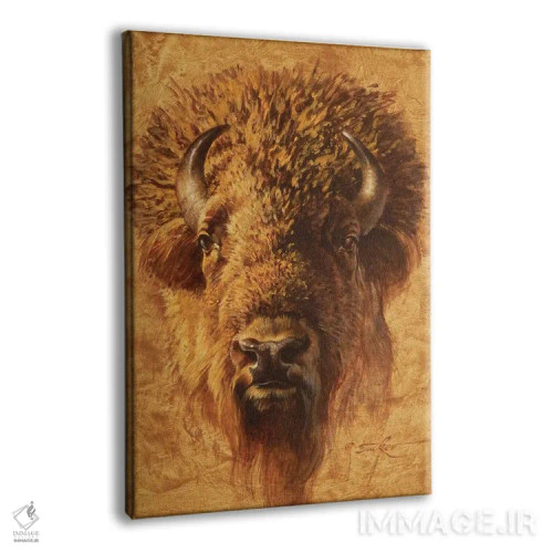 تابلو دکوراتیو پرتره گاومیش آمریکایی اثر ازرا تاکر - نمای پرسپکتیو محصول