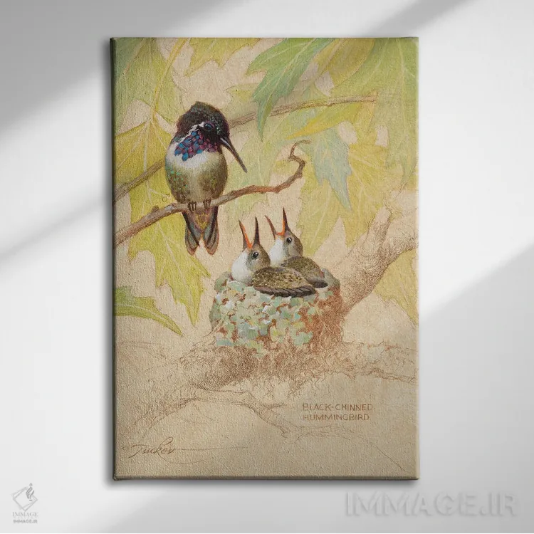 تابلو دکوراتیو لانه مرغ مگس خوار سیاه گلو اثر ازرا تاکر - نمای روبهرو روی دیوار