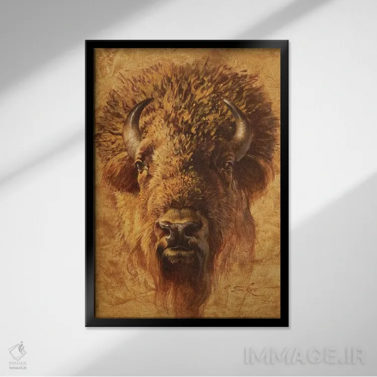 تابلو دکوراتیو پرتره گاومیش آمریکایی اثر ازرا تاکر - نمای قابدار مشکی