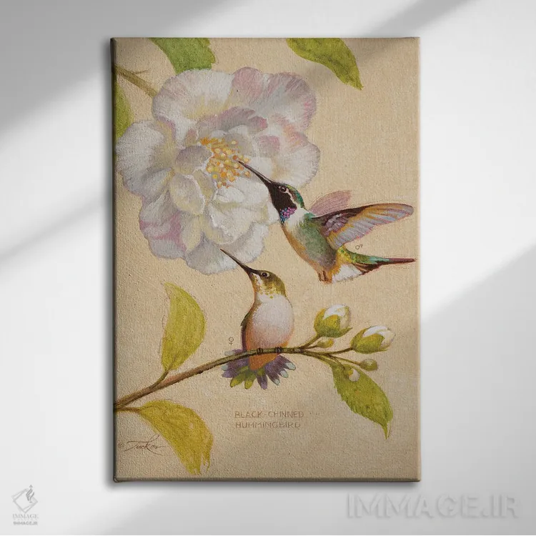 تابلو دکوراتیو مرغ های مگس خوار سیاه گلو اثر ازرا تاکر - نمای روبهرو روی دیوار