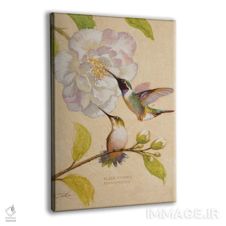 تابلو دکوراتیو مرغ های مگس خوار سیاه گلو اثر ازرا تاکر - نمای پرسپکتیو محصول