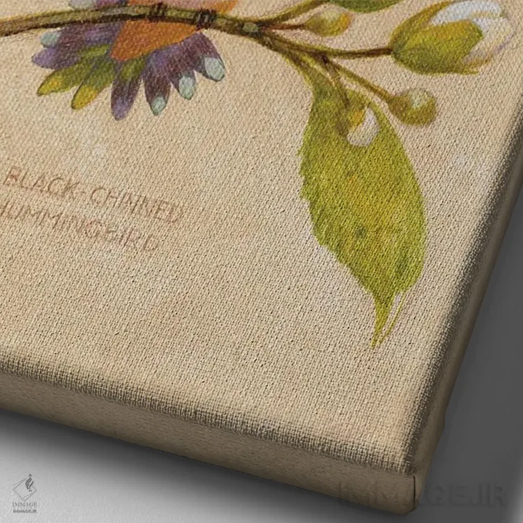 تابلو دکوراتیو مرغ های مگس خوار سیاه گلو اثر ازرا تاکر - نمای نزدیک بافت بوم