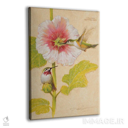 تابلو دکوراتیو مرغ مگس خوار کالیوپه نر و ماده اثر ازرا تاکر - نمای پرسپکتیو محصول