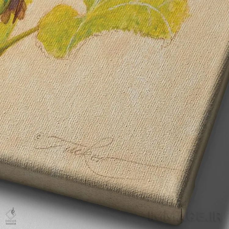 تابلو دکوراتیو مرغ مگس خوار کالیوپه نر و ماده اثر ازرا تاکر - نمای نزدیک بافت بوم