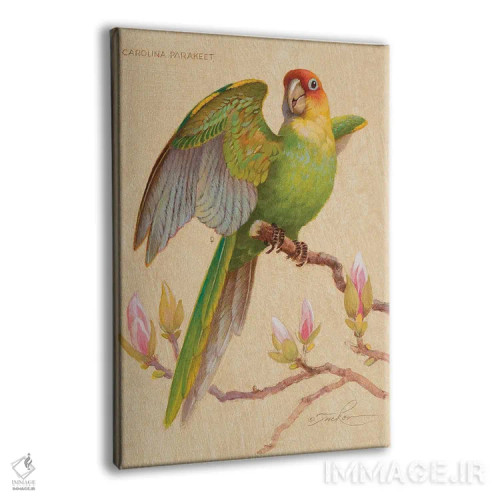 تابلو دکوراتیو طوطی کارولینا و ماگنولیا اثر ازرا تاکر - نمای پرسپکتیو محصول