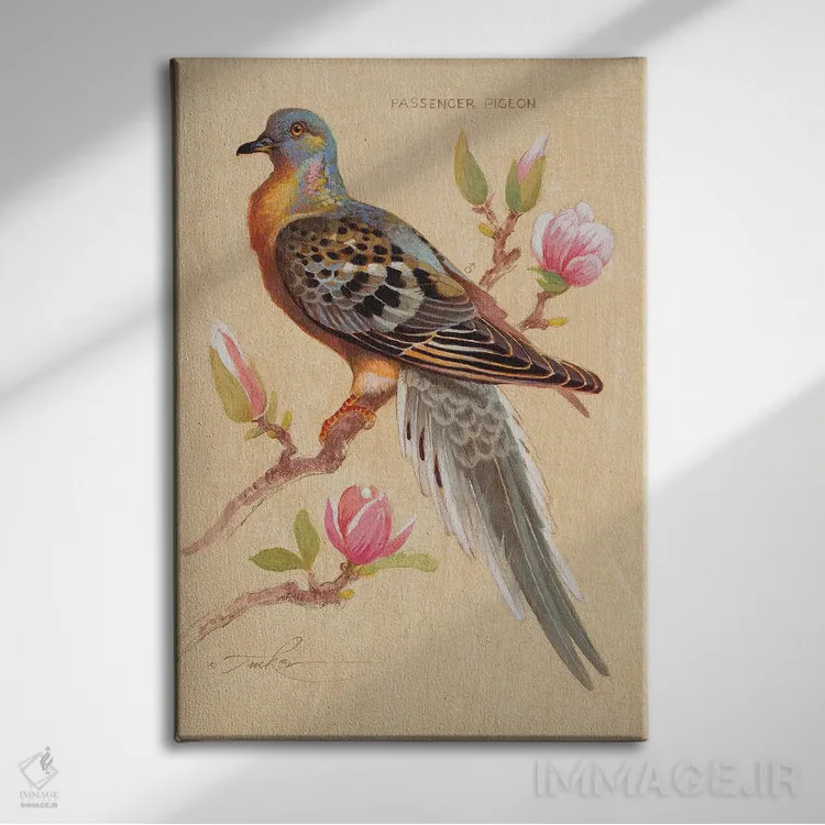تابلو دکوراتیو کبوتر مهاجر و ماگنولیا اثر ازرا تاکر - نمای روبهرو روی دیوار