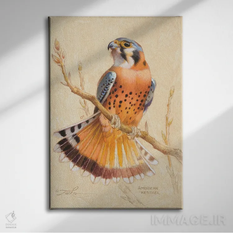 تابلو دکوراتیو بحری آمریکایی اثر ازرا تاکر - نمای روبهرو روی دیوار