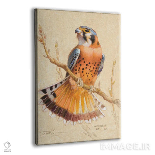 تابلو دکوراتیو بحری آمریکایی اثر ازرا تاکر - نمای پرسپکتیو محصول