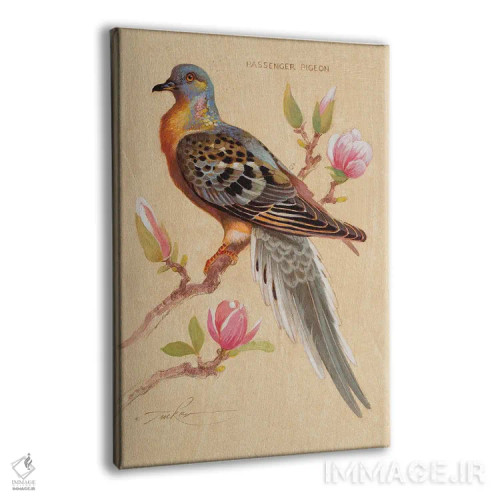تابلو دکوراتیو کبوتر مهاجر و ماگنولیا اثر ازرا تاکر - نمای پرسپکتیو محصول