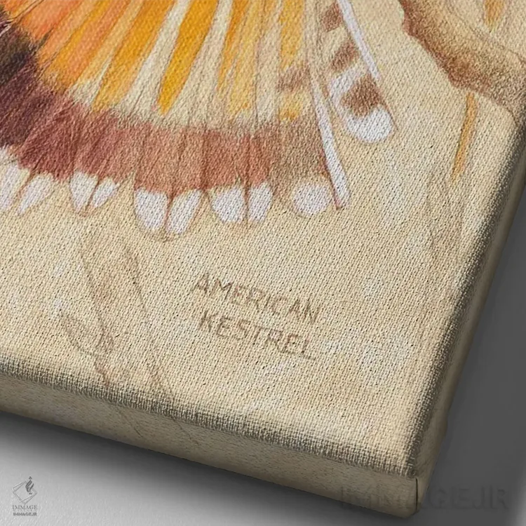 تابلو دکوراتیو بحری آمریکایی اثر ازرا تاکر - نمای نزدیک بافت بوم