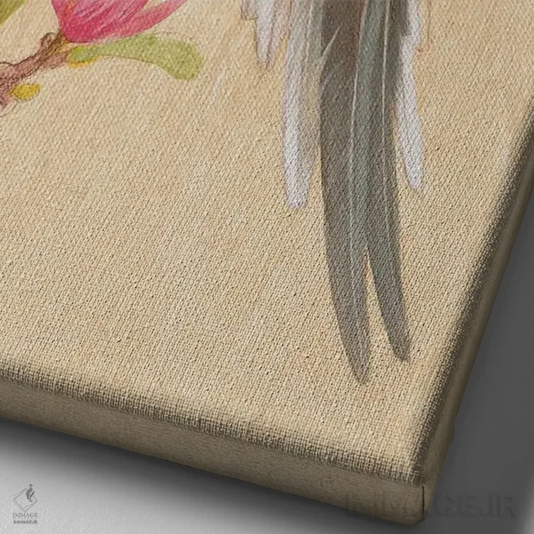 تابلو دکوراتیو کبوتر مهاجر و ماگنولیا اثر ازرا تاکر - نمای نزدیک بافت بوم