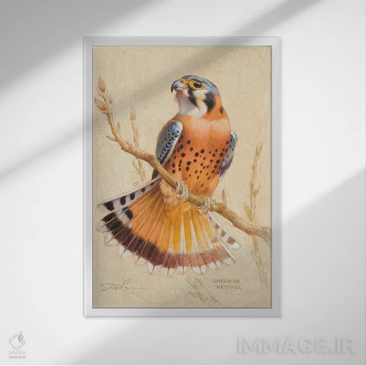 تابلو دکوراتیو بحری آمریکایی اثر ازرا تاکر - نمای قابدار سفید