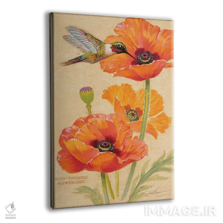 تابلو دکوراتیو مرغ مگس خوار گلوی یاقوتی و شقایق ها اثر ازرا تاکر - نمای پرسپکتیو محصول