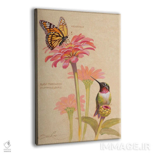 تابلو دکوراتیو مرغ مگس خوار گلوی یاقوتی و ملکه پروانه ها اثر ازرا تاکر - نمای پرسپکتیو محصول