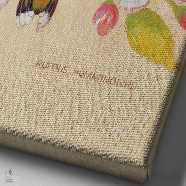 تابلو دکوراتیو مرغ های مگس خوار سرخ رنگ ۳ اثر ازرا تاکر - نمای نزدیک بافت بوم