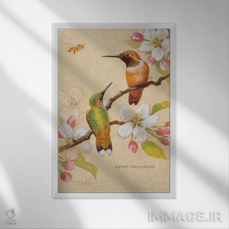 تابلو دکوراتیو مرغ های مگس خوار سرخ رنگ ۳ اثر ازرا تاکر - نمای قابدار سفید