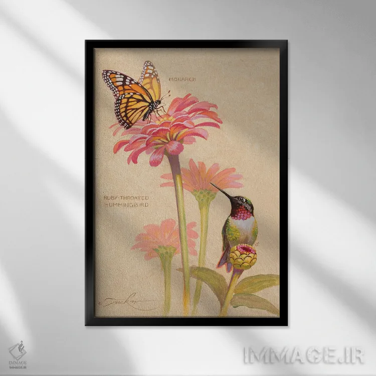 تابلو دکوراتیو مرغ مگس خوار گلوی یاقوتی و ملکه پروانه ها اثر ازرا تاکر - نمای قابدار مشکی