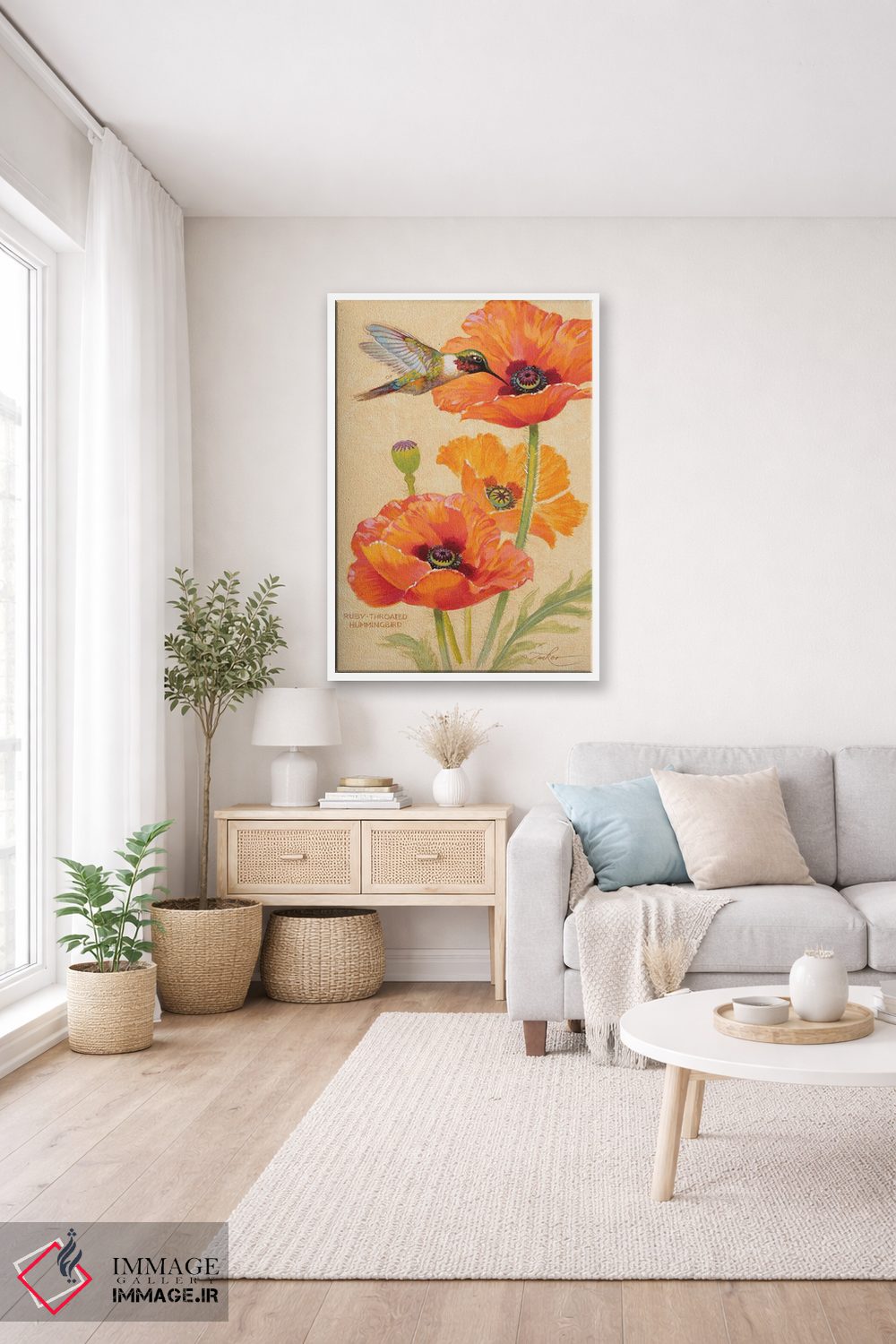تابلو دکوراتیو مرغ مگس خوار گلوی یاقوتی و شقایق ها اثر ازرا تاکر - D4W