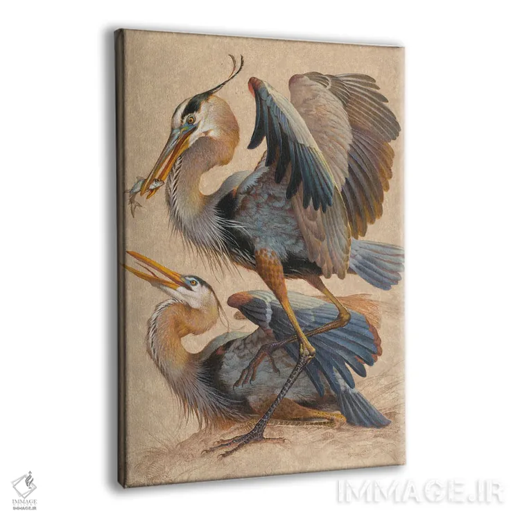 تابلو دکوراتیو حواصیل های آبی بزرگ اثر ازرا تاکر - نمای پرسپکتیو محصول