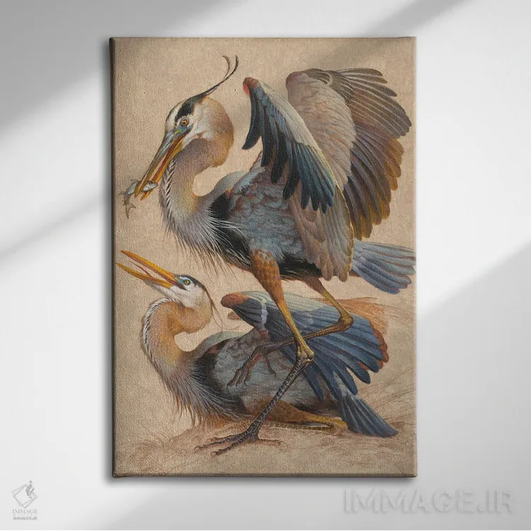 تابلو دکوراتیو حواصیل های آبی بزرگ اثر ازرا تاکر - نمای روبهرو روی دیوار