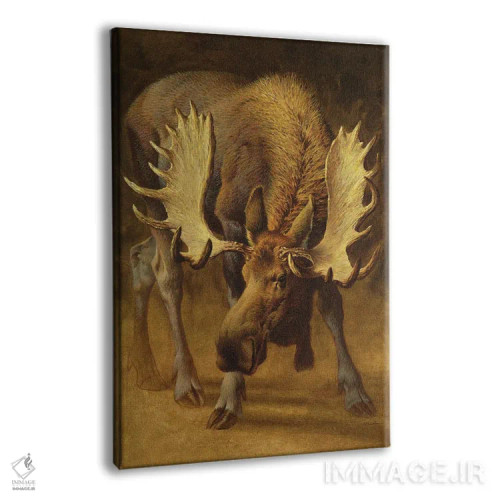 تابلو دکوراتیو گوزن زردستون اثر ازرا تاکر - نمای پرسپکتیو محصول